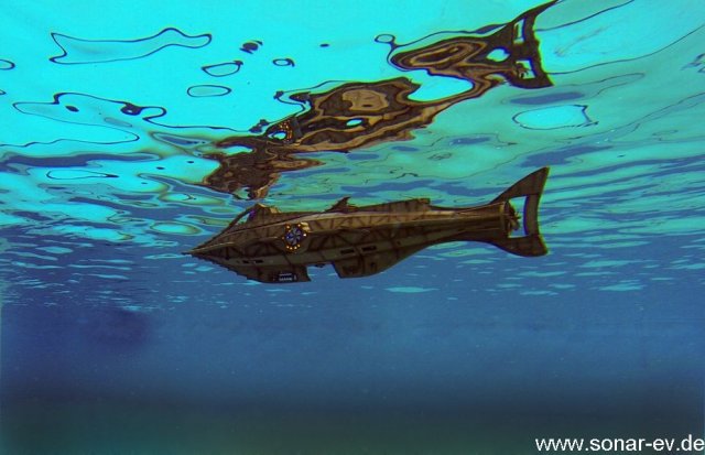 KL_Nautilus aus ROV 1531